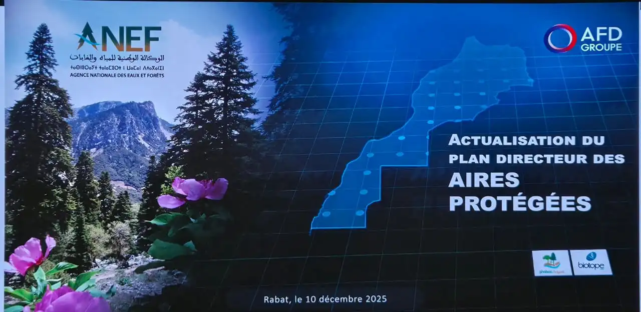 photo-actualisation-du-plan-directeur-national-des-aores-protegees.jpeg