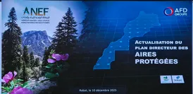 photo-actualisation-du-plan-directeur-national-des-aores-protegees.jpeg