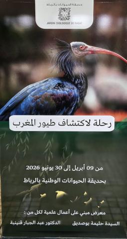 Exposition des Oiseaux du Maroc