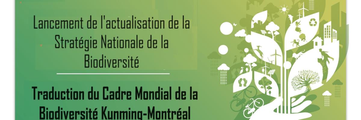Lancement de l'actualisation de la stratégie nationale de la biodiversité et la traduction du Cadre Mondial de la Biodiversité