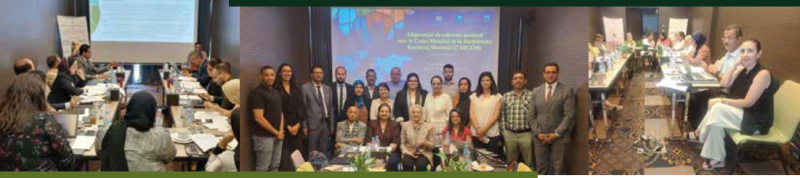 Photo des réunions de la SCNB